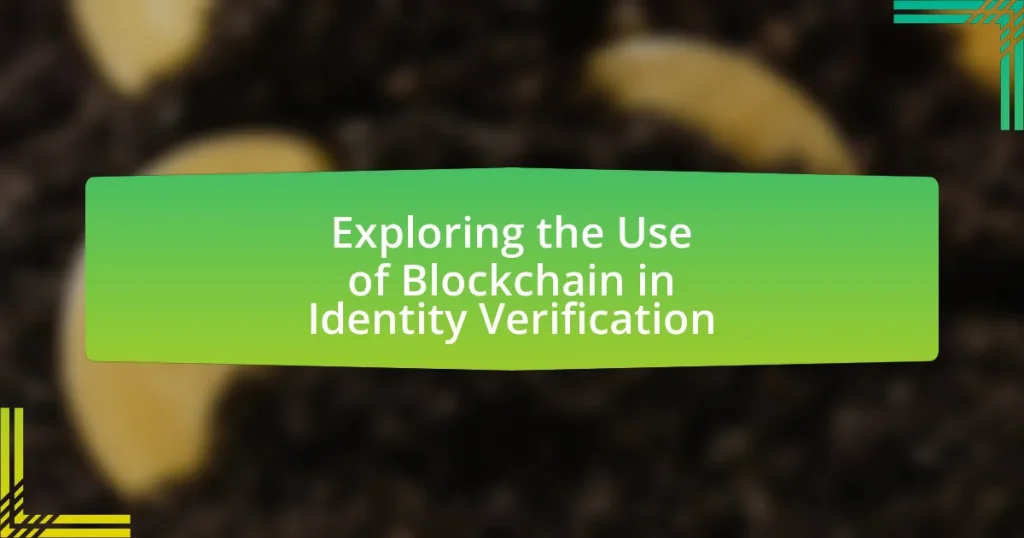 Exploring the Use of Blockchain in Identity Verification