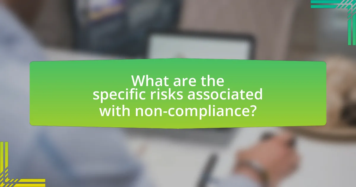 What are the specific risks associated with non-compliance?